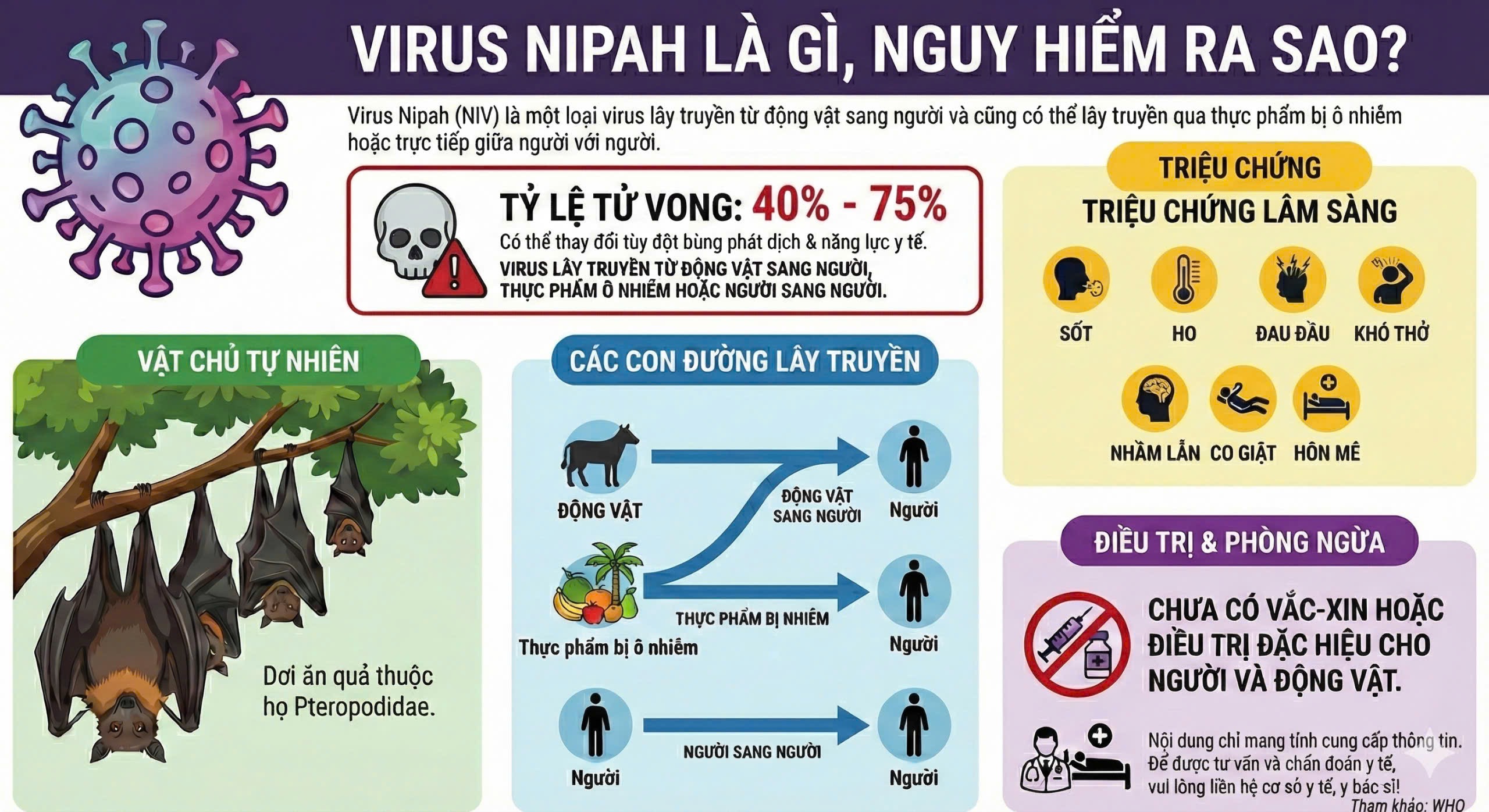 Virus Nipah là gì? Dịch bệnh diễn biến phức tạp, cần hiểu rõ để phòng tránh - Ảnh 1.