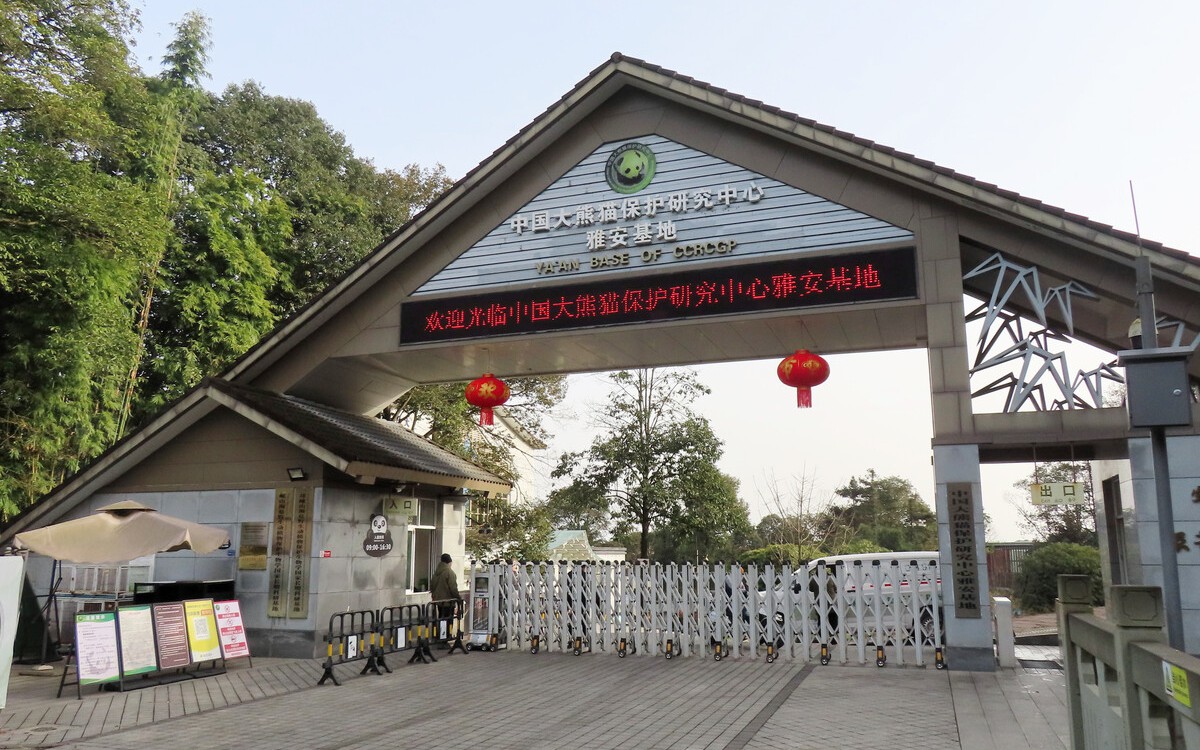 Sumo diplomacy: Japan's heavyweight 'soft power' ambassadors - Ảnh 4.