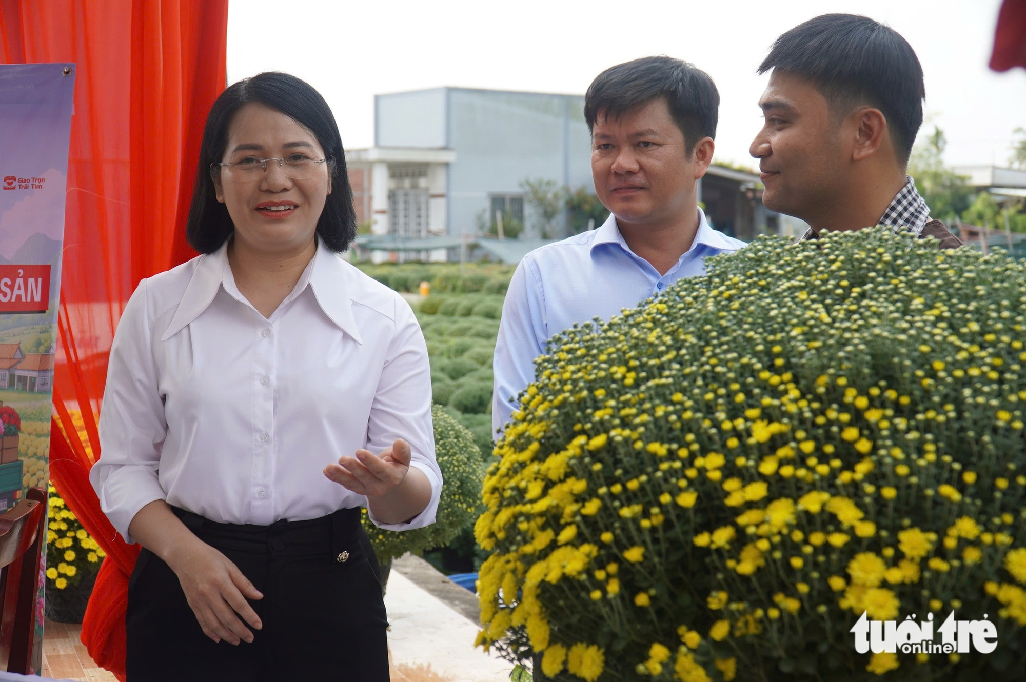 nở sớm - Ảnh 1.