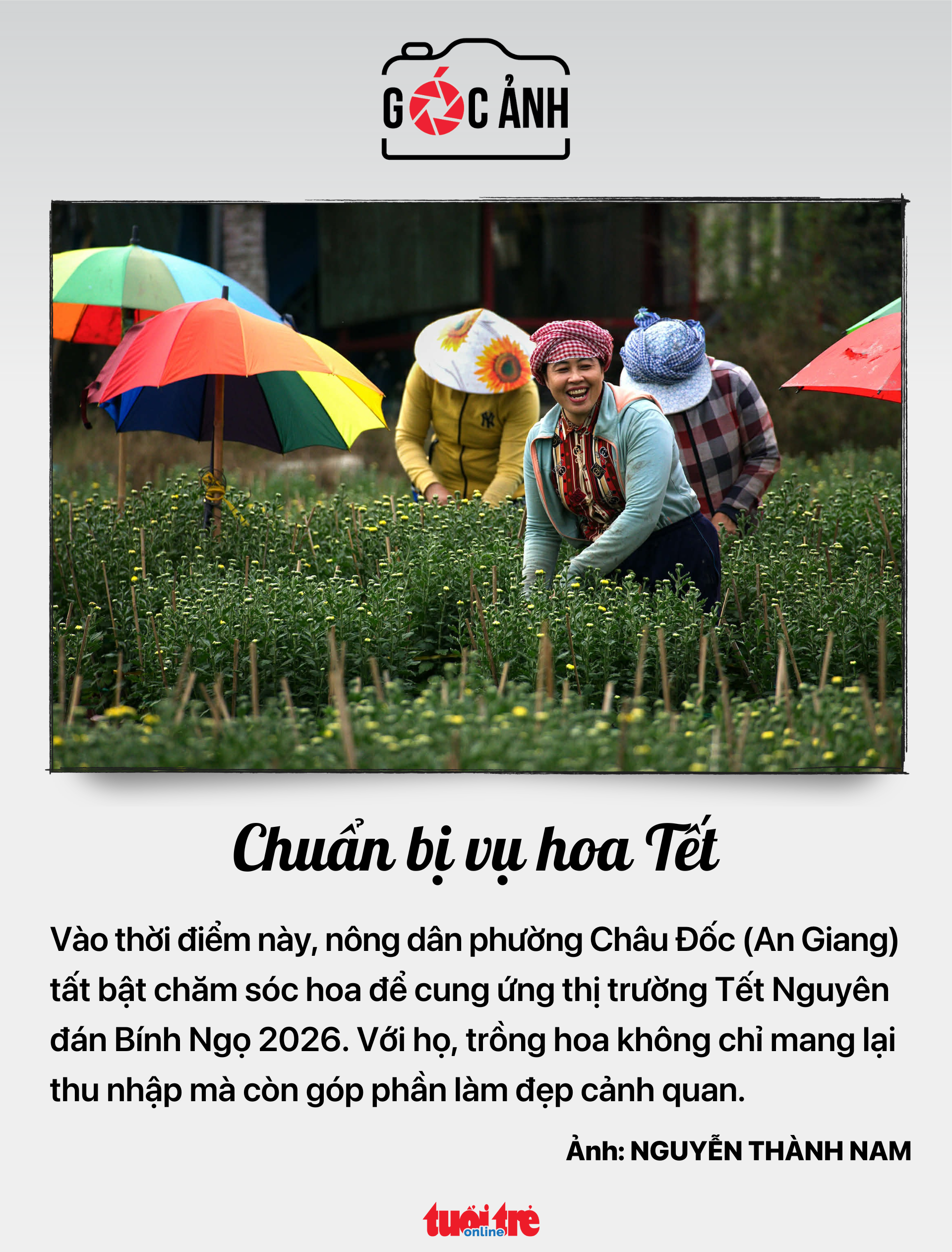 mỹ phẩm - Ảnh 5.