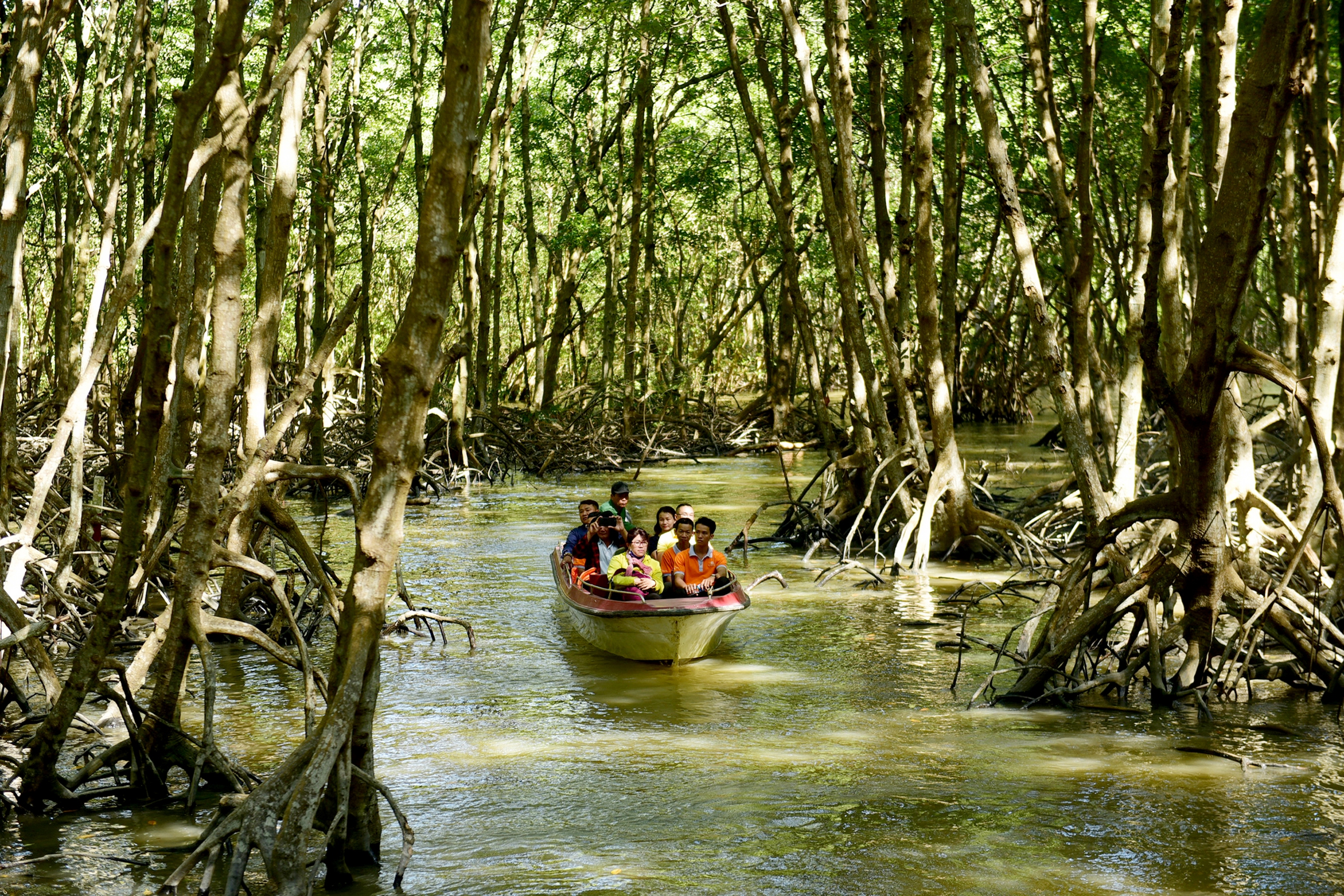 'Đánh thức' tiềm năng du lịch Cần Giờ - Ảnh 1. 'Đánh thức' tiềm năng du lịch Cần Giờ - Ảnh 1.