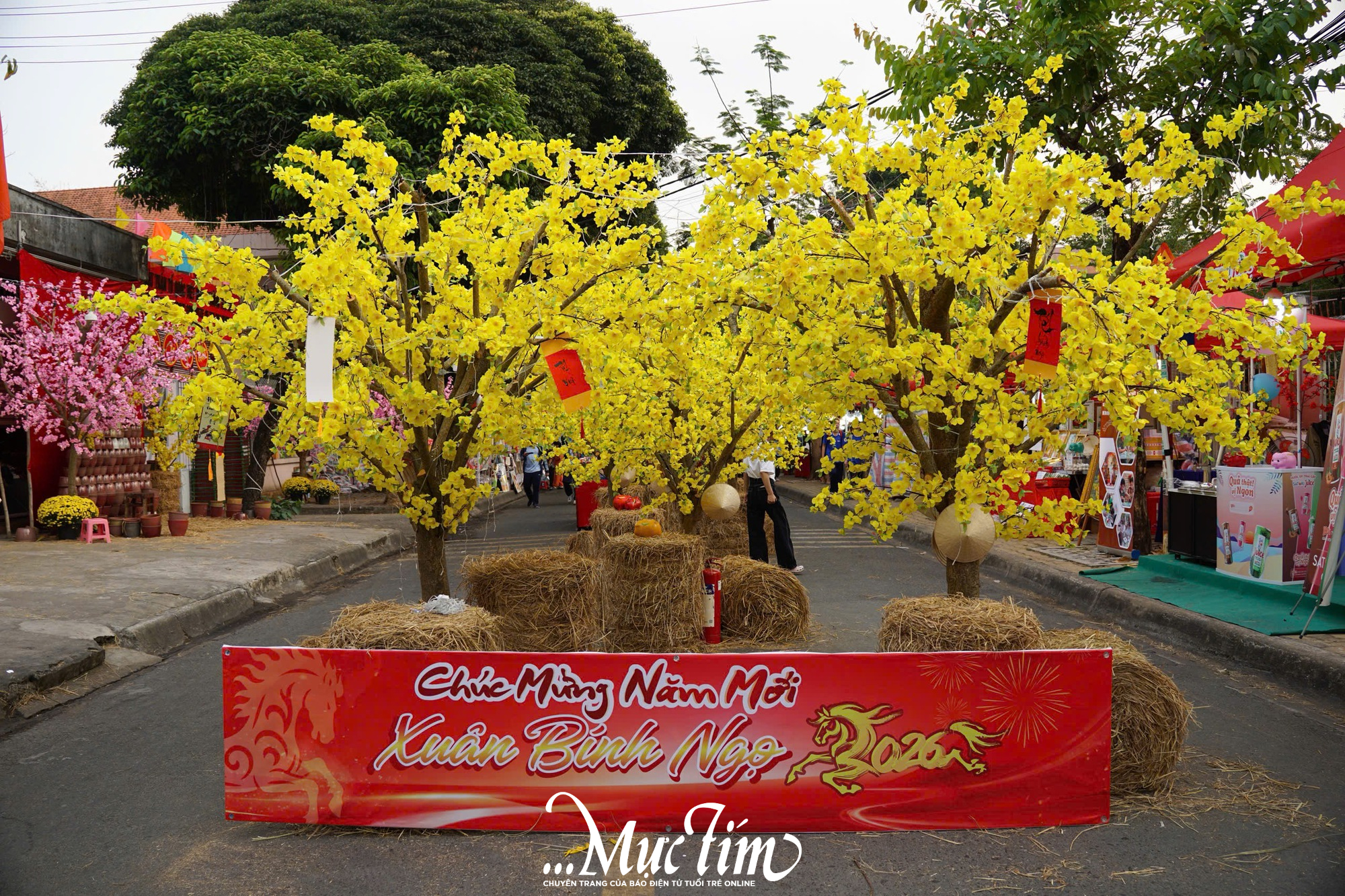 Check-in con đường mai vàng, bức tường heo đất tại lễ hội Tết Việt phường Thủ Đức- Ảnh 2. Check-in con đường mai vàng, bức tường heo đất tại lễ hội Tết Việt phường Thủ Đức- Ảnh 2.