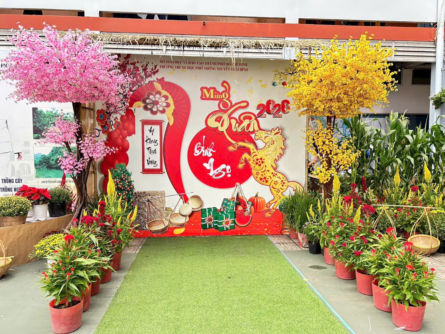 Nhiều trường học rộn ràng khoác áo xuân đón Tết Bính Ngọ 2026- Ảnh 16.