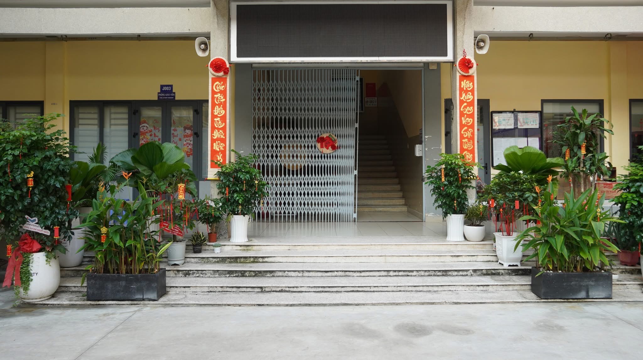 Nhiều trường học rộn ràng khoác áo xuân đón Tết Bính Ngọ 2026- Ảnh 12.