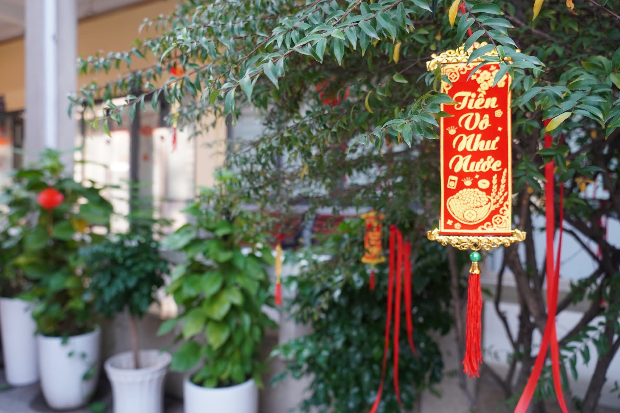 Nhiều trường học rộn ràng khoác áo xuân đón Tết Bính Ngọ 2026- Ảnh 10.