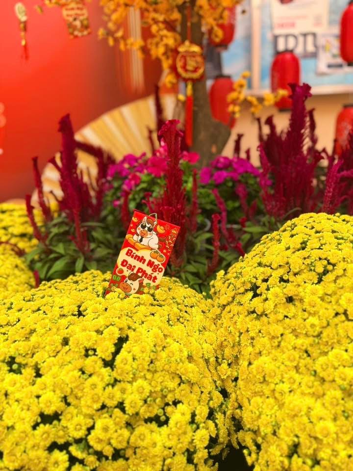 Nhiều trường học rộn ràng khoác áo xuân đón Tết Bính Ngọ 2026- Ảnh 24.