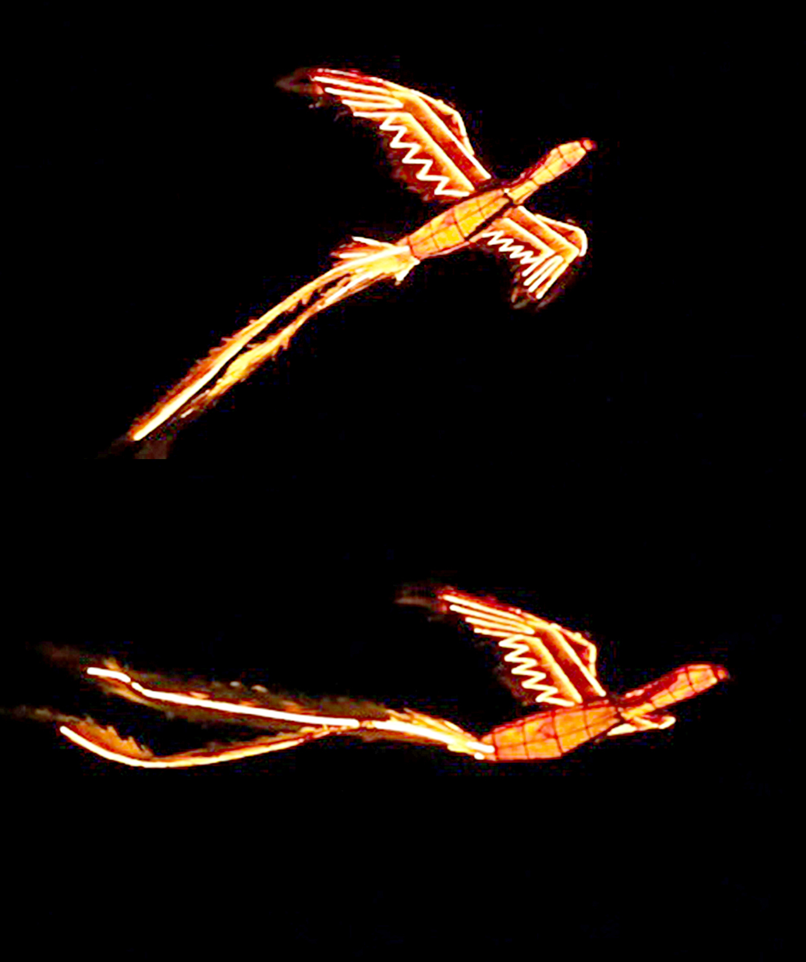 sinh viên - Ảnh 1.