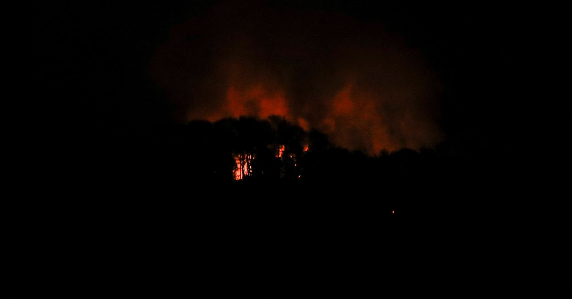 Trump insists 'we need Greenland' - Ảnh 2.