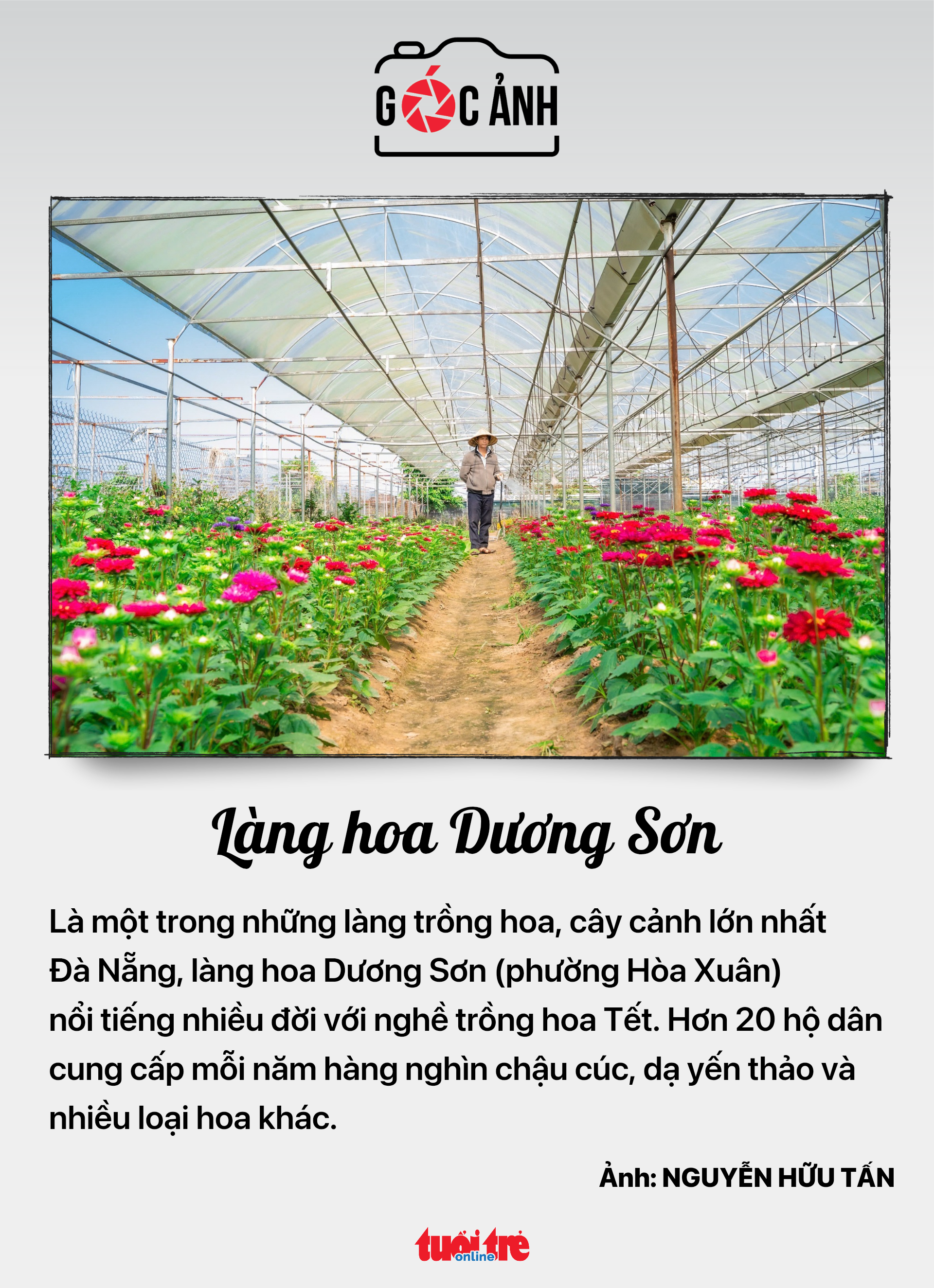 quyết toán thuế - Ảnh 6.