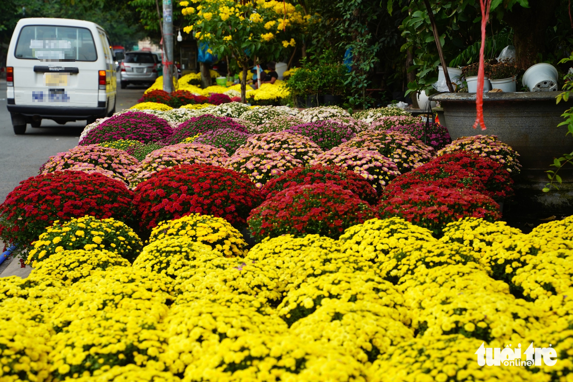 Chợ hoa - Ảnh 6.