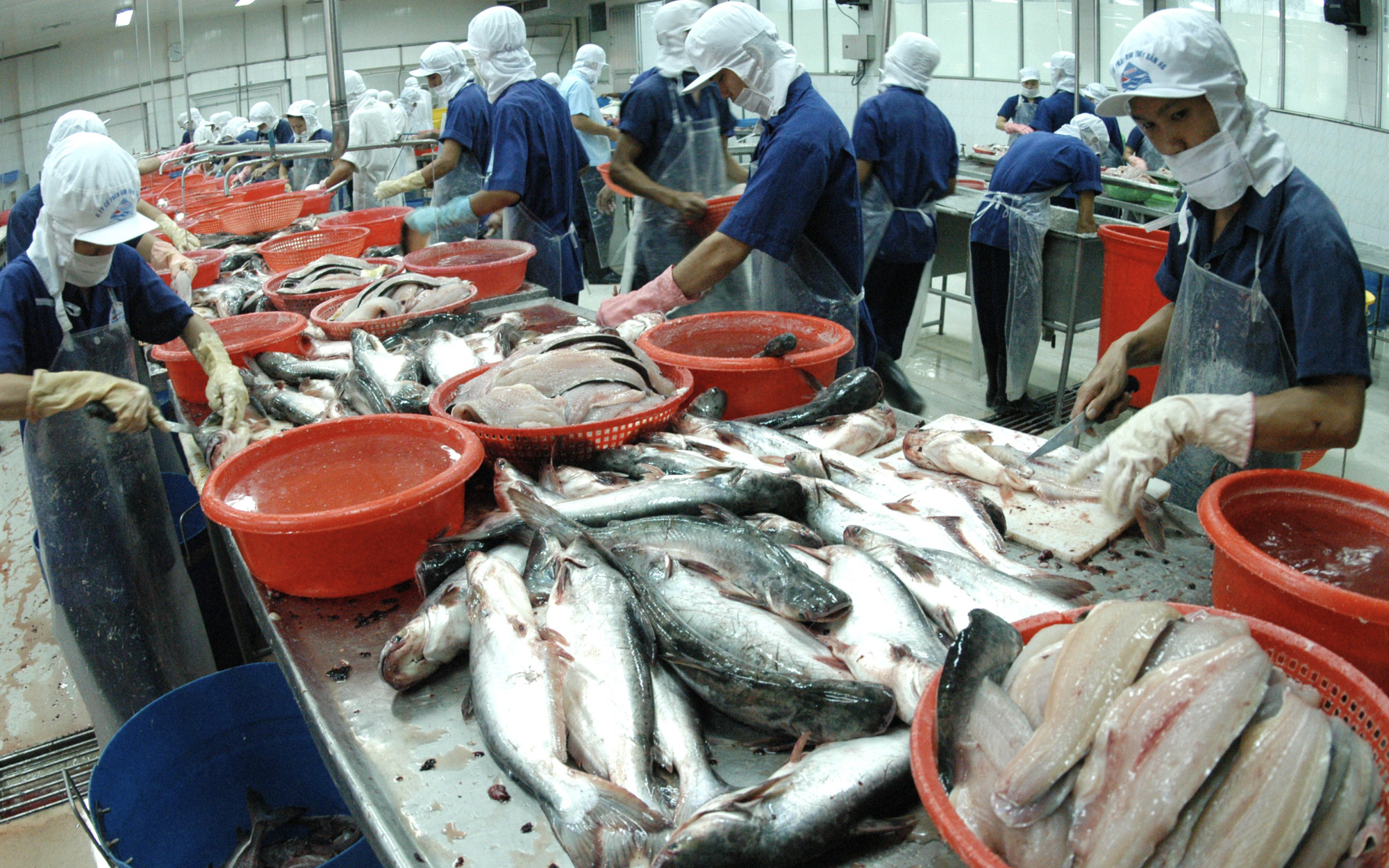 Vietnam eyes $100bn in agro-forestry-fishery exports by 2027 through structural reforms- Ảnh 1.