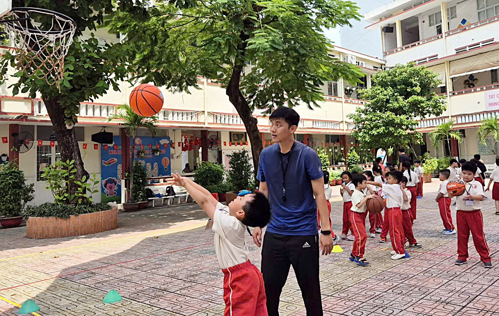 chương trình liên kết - Ảnh 1.