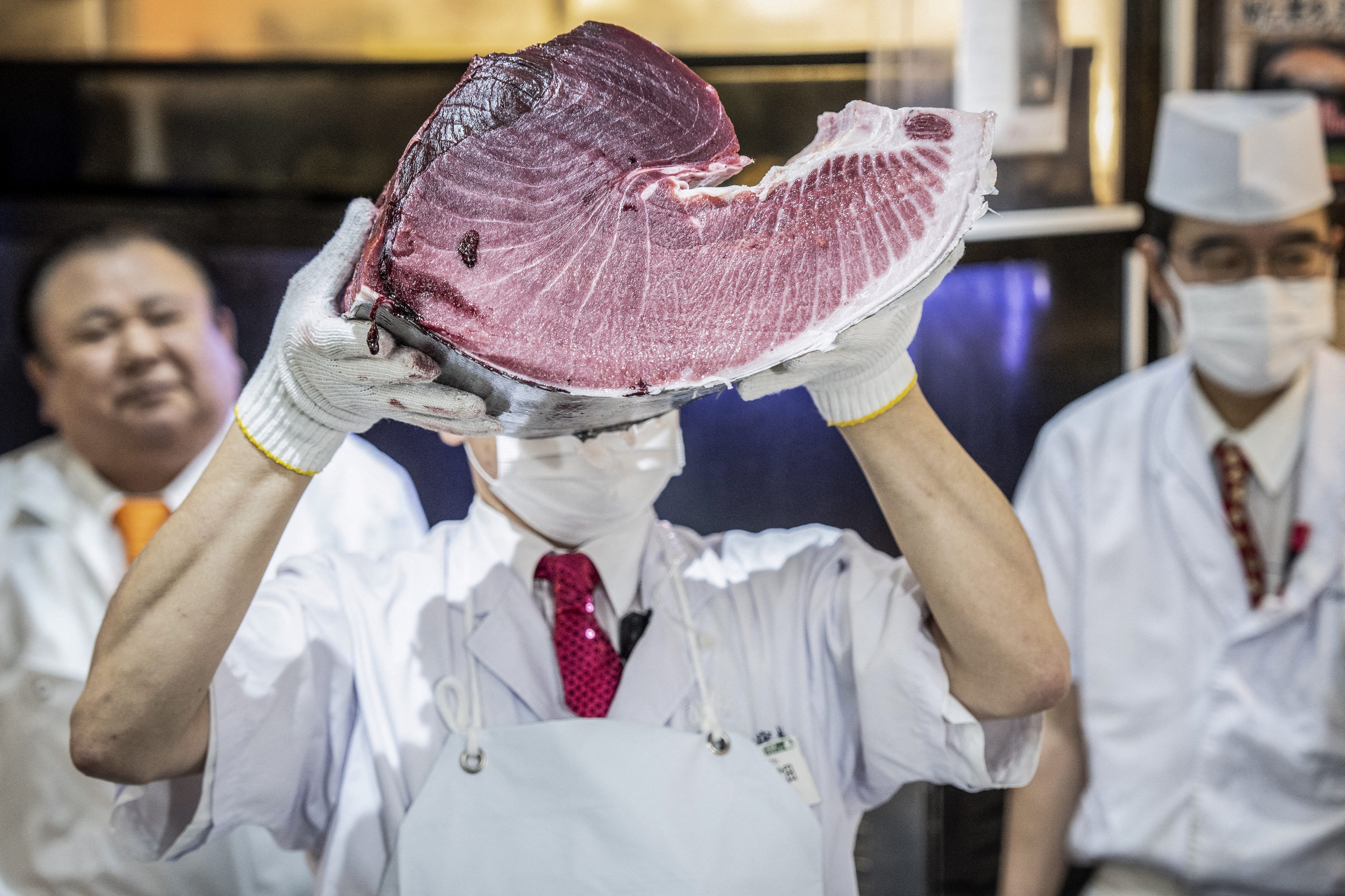 cá ngừ - Ảnh 3.