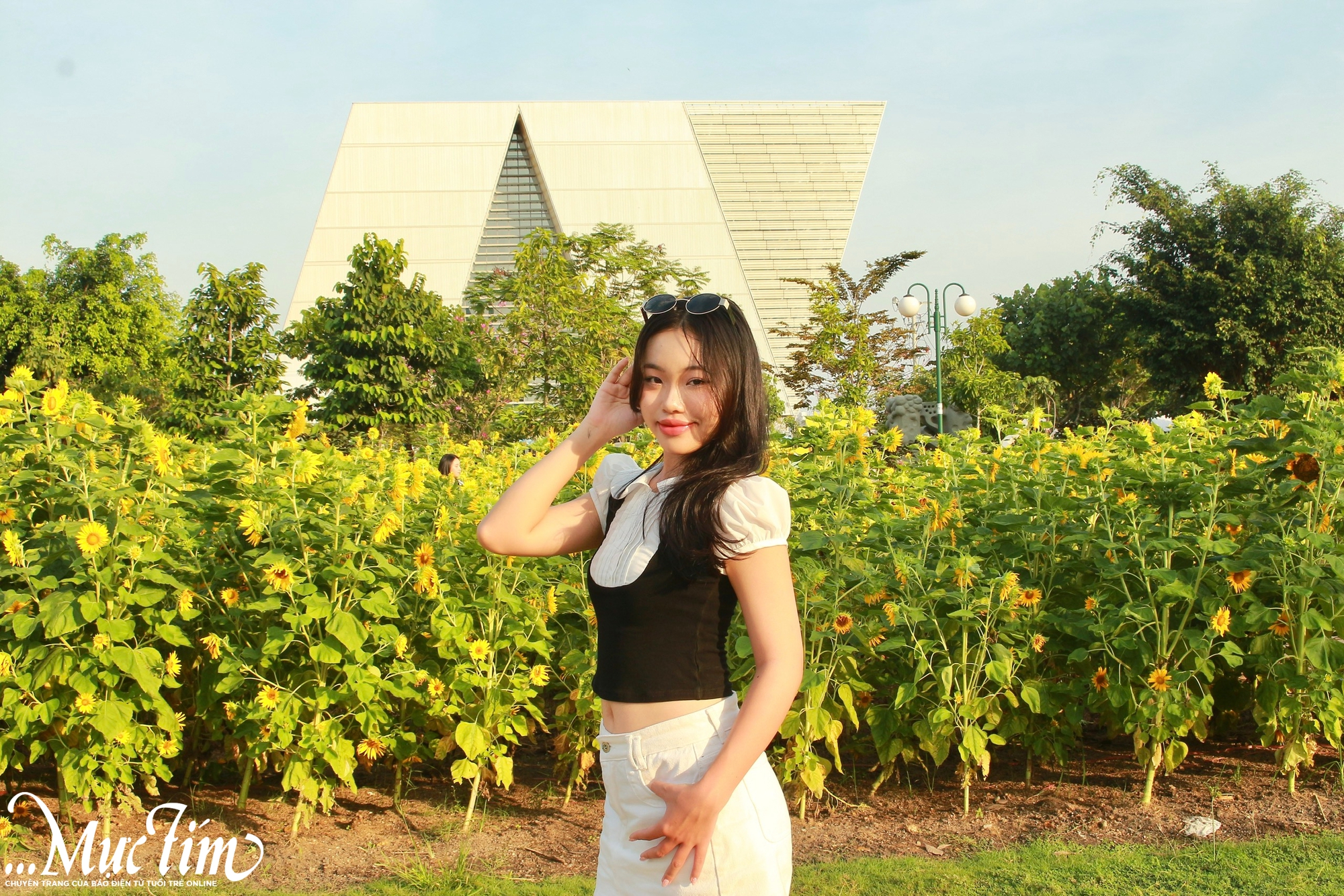 Vườn hoa hướng dương rực vàng bên bờ sông Sài Gòn, thu hút khách check in - Ảnh 4.