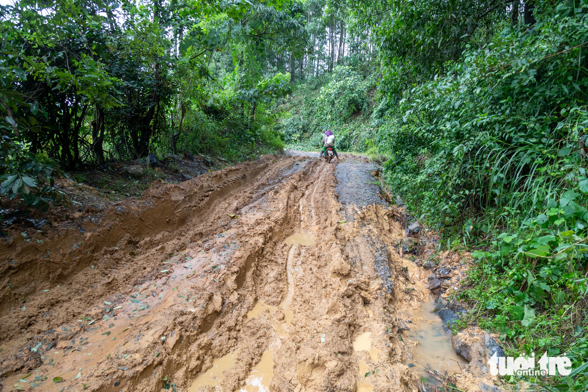 điện gió - Ảnh 1.