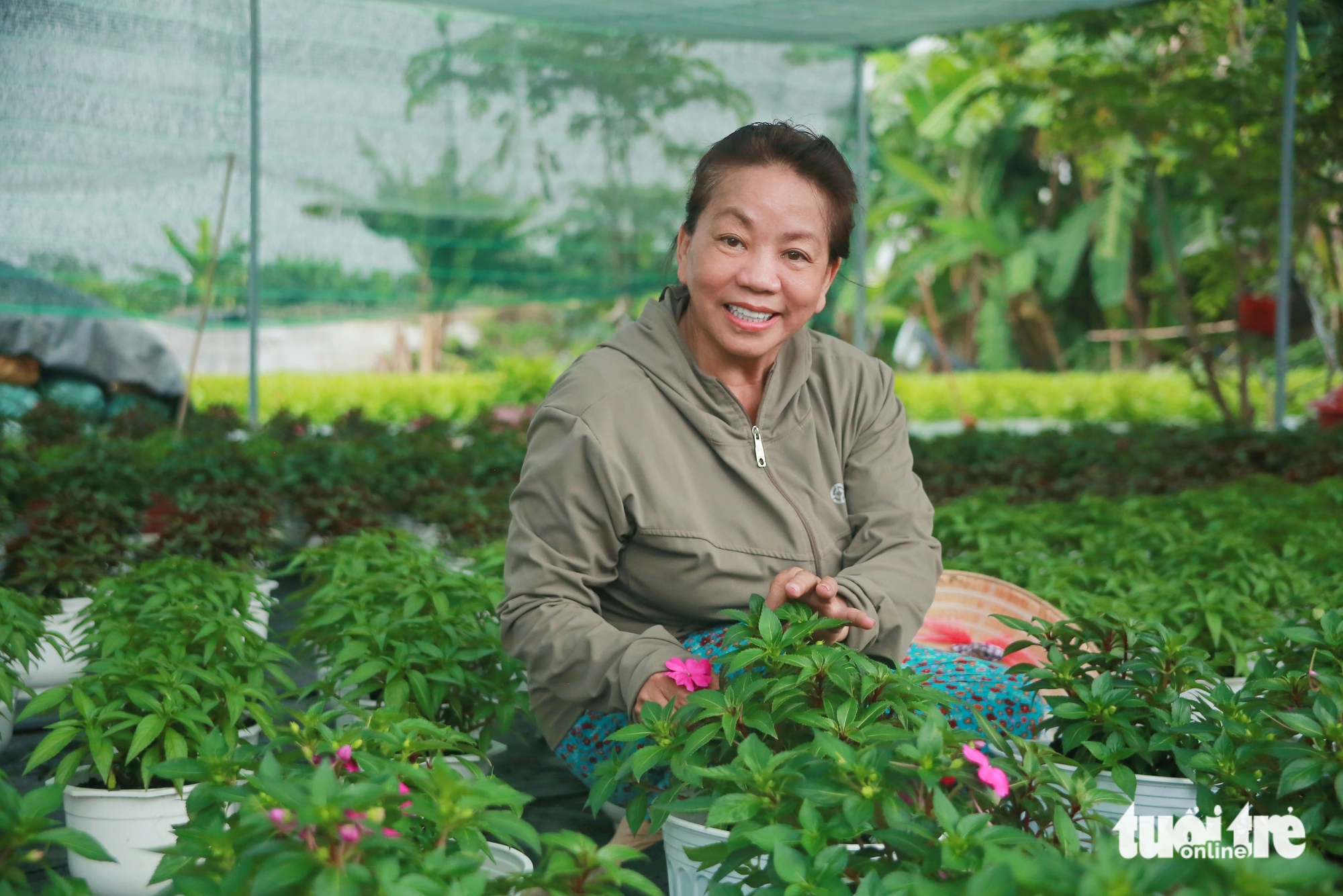 Hoa Tết - Ảnh 12.