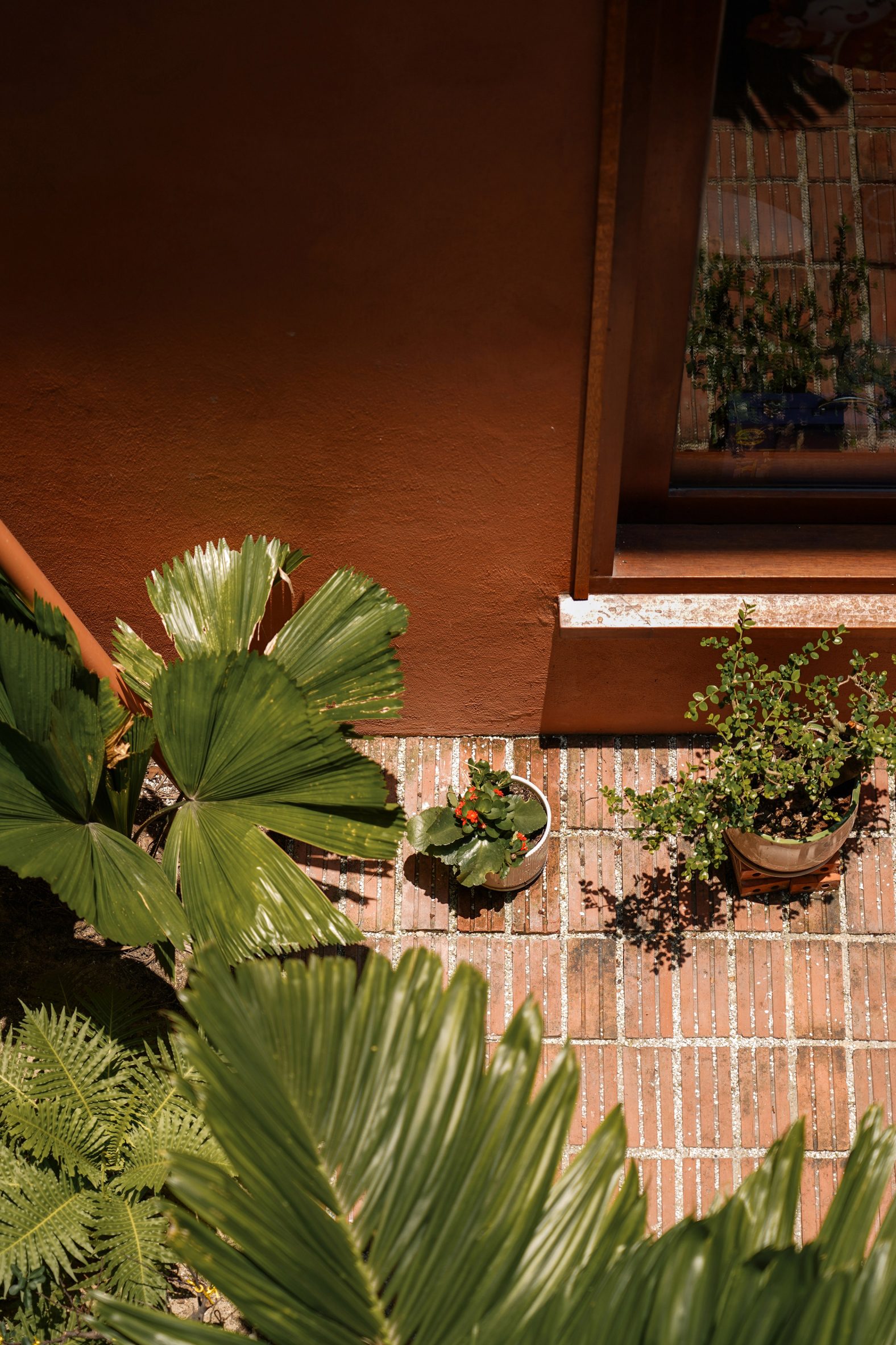 ngôi nhà - Ảnh 4.