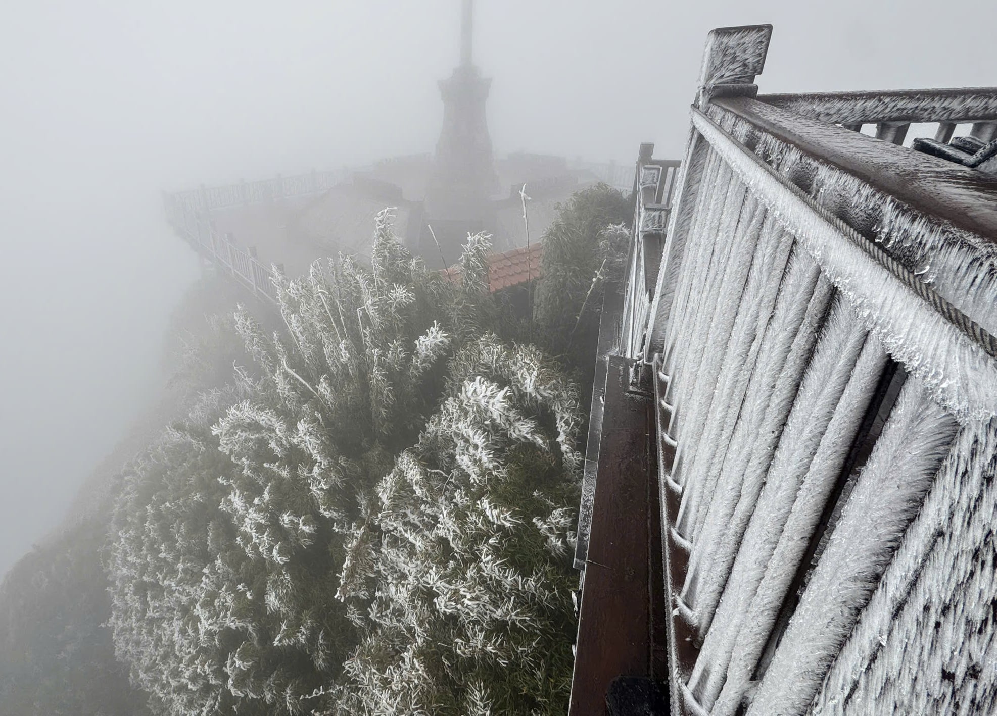 Fansipan plunges to -3°C as frost blankets Vietnam's highest peak- Ảnh 1. Fansipan plunges to -3°C as frost blankets Vietnam's highest peak- Ảnh 1.