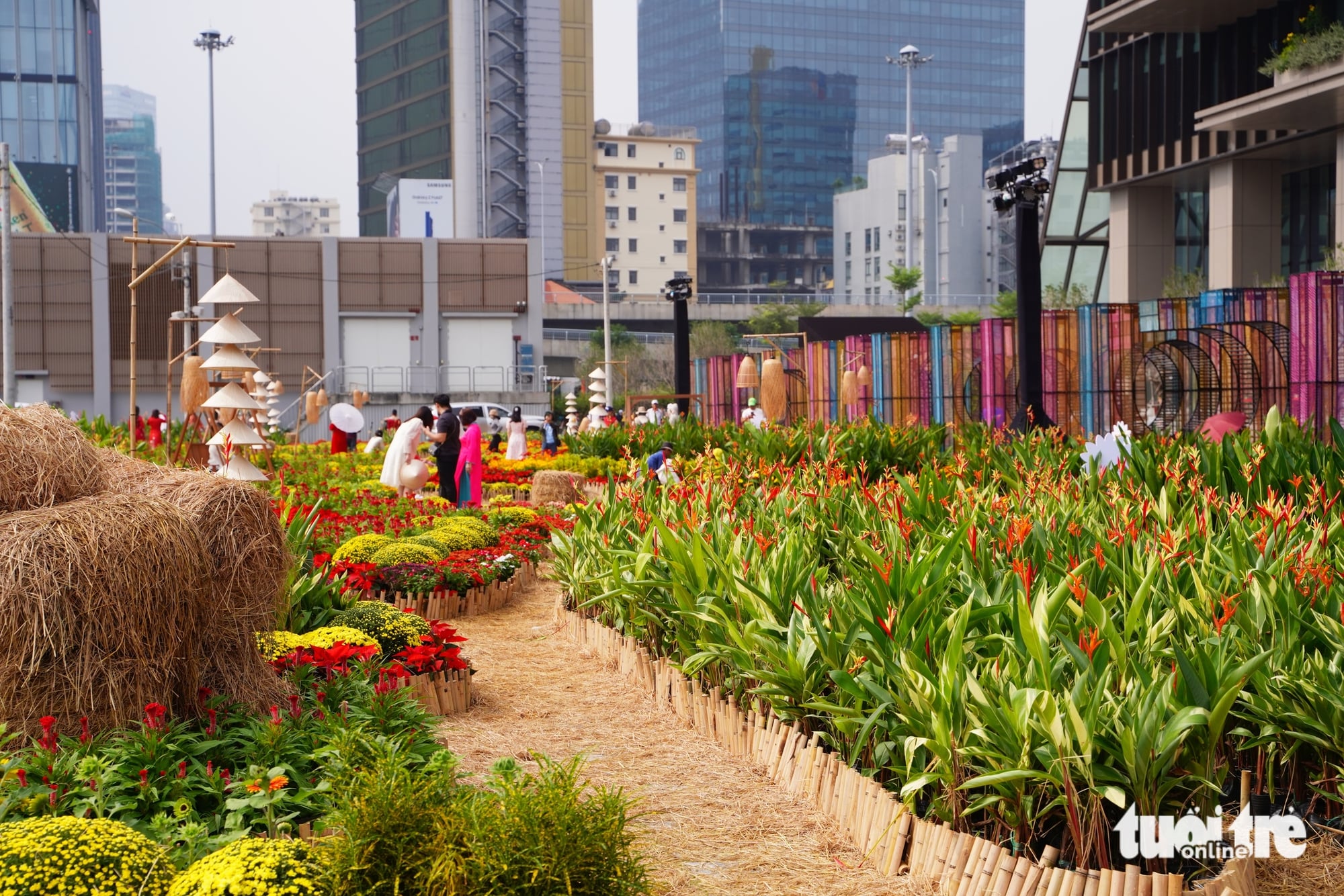 In photos: Ho Chi Minh City blooms with new year decorations- Ảnh 4.