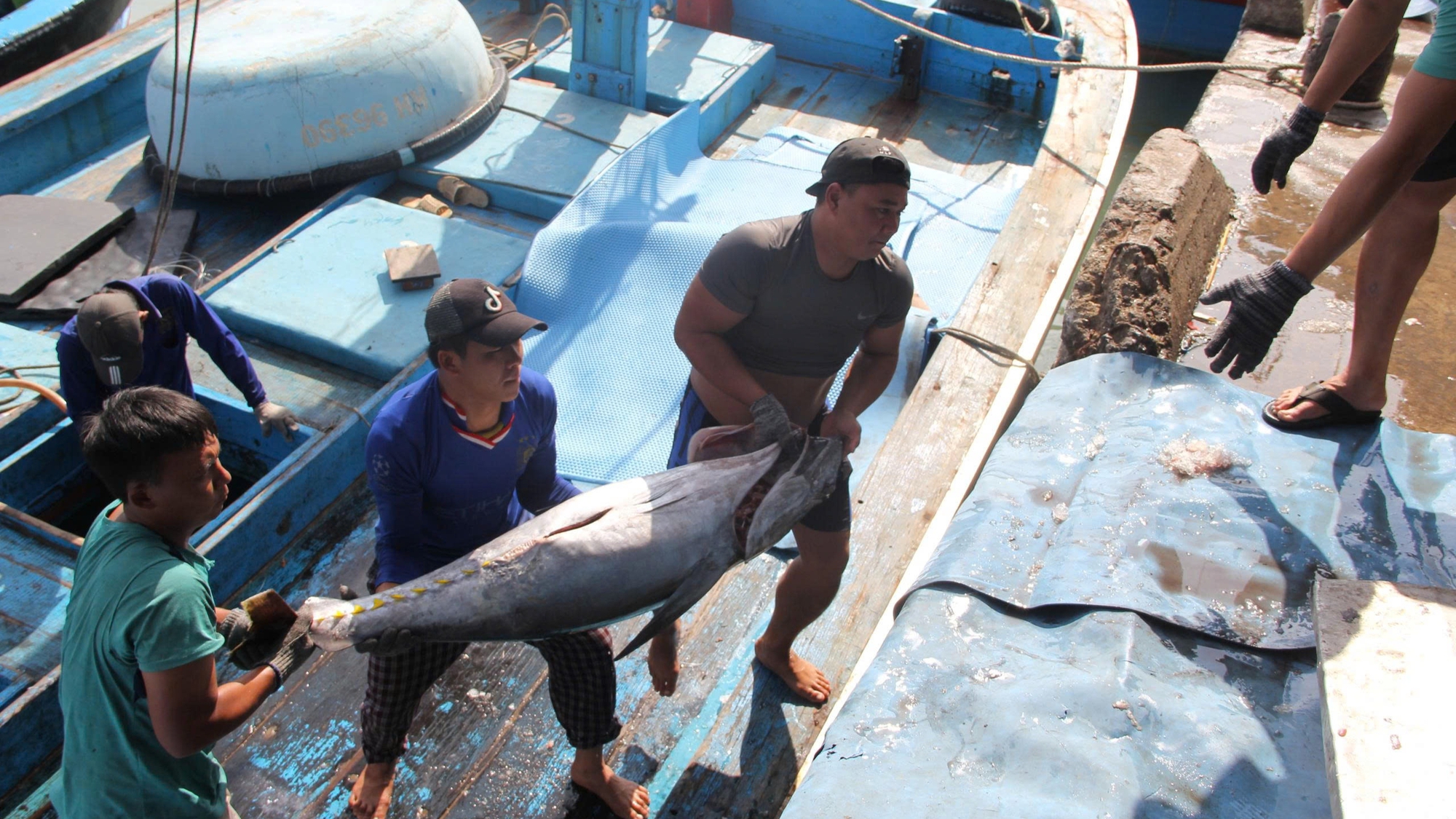 thủy sản - Ảnh 1.