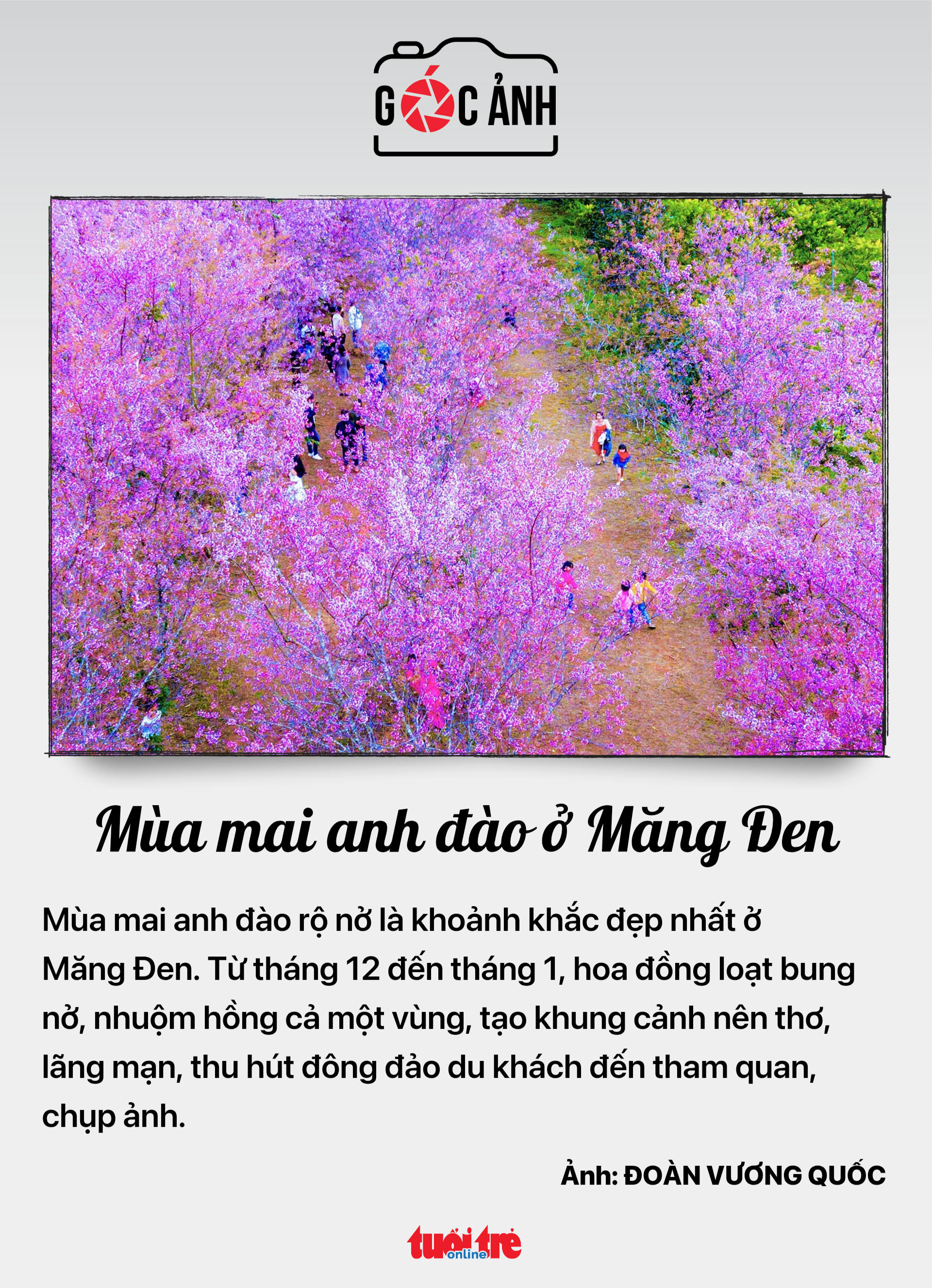 Tin tức sáng 9-1: Cổ phiếu Đồ hộp Hạ Long được 'cứu'; Thanh khoản chứng khoán sụt giảm - Ảnh 8.