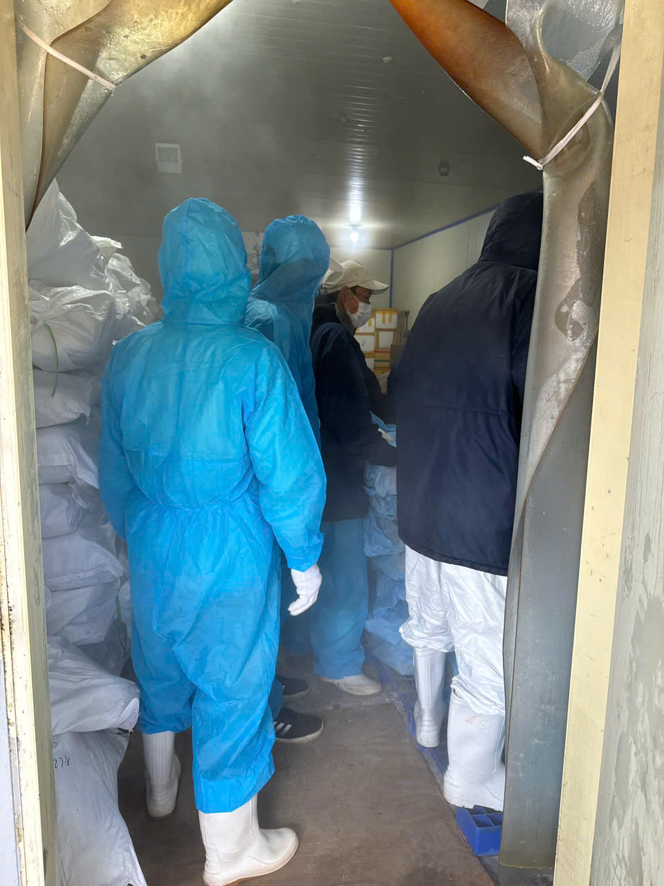 Vietnam police uncover 130 tonnes of ASF-infected pork in canning scheme