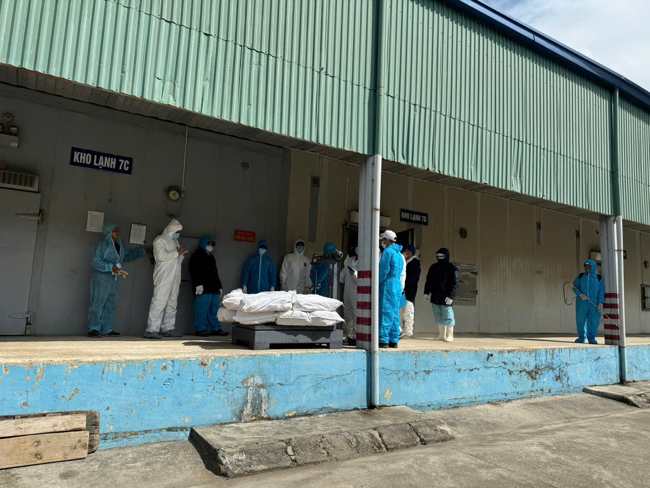 Vietnam police uncover 130 tonnes of ASF-infected pork in canning scheme