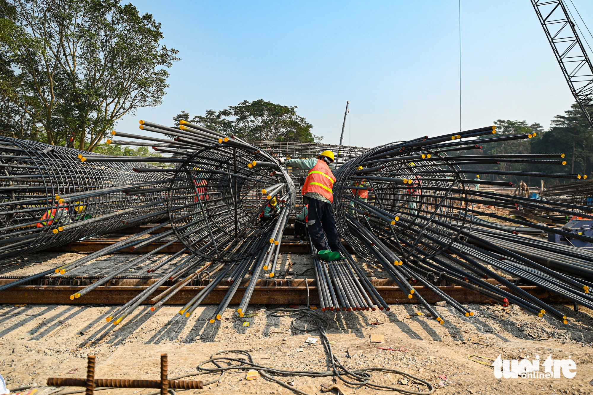 cầu trần hưng đạo - Ảnh 15.