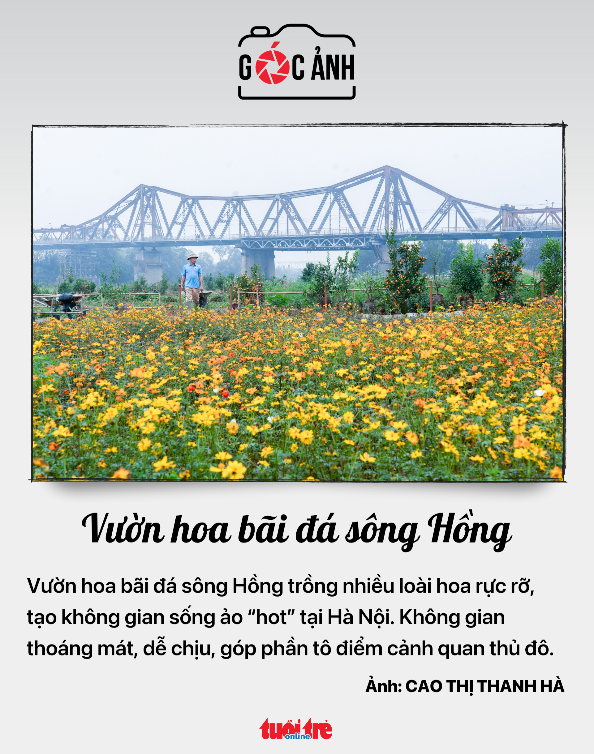 lương tối thiểu - Ảnh 7.