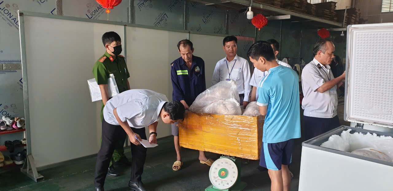 đông lạnh - Ảnh 1.