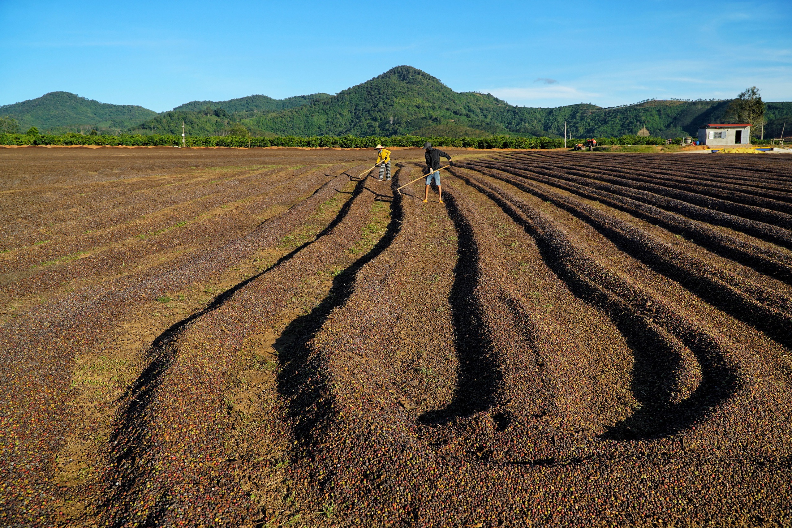 Những thực phẩm nên ăn và nên tránh để có hàm răng khỏe mạnh - Ảnh 1.