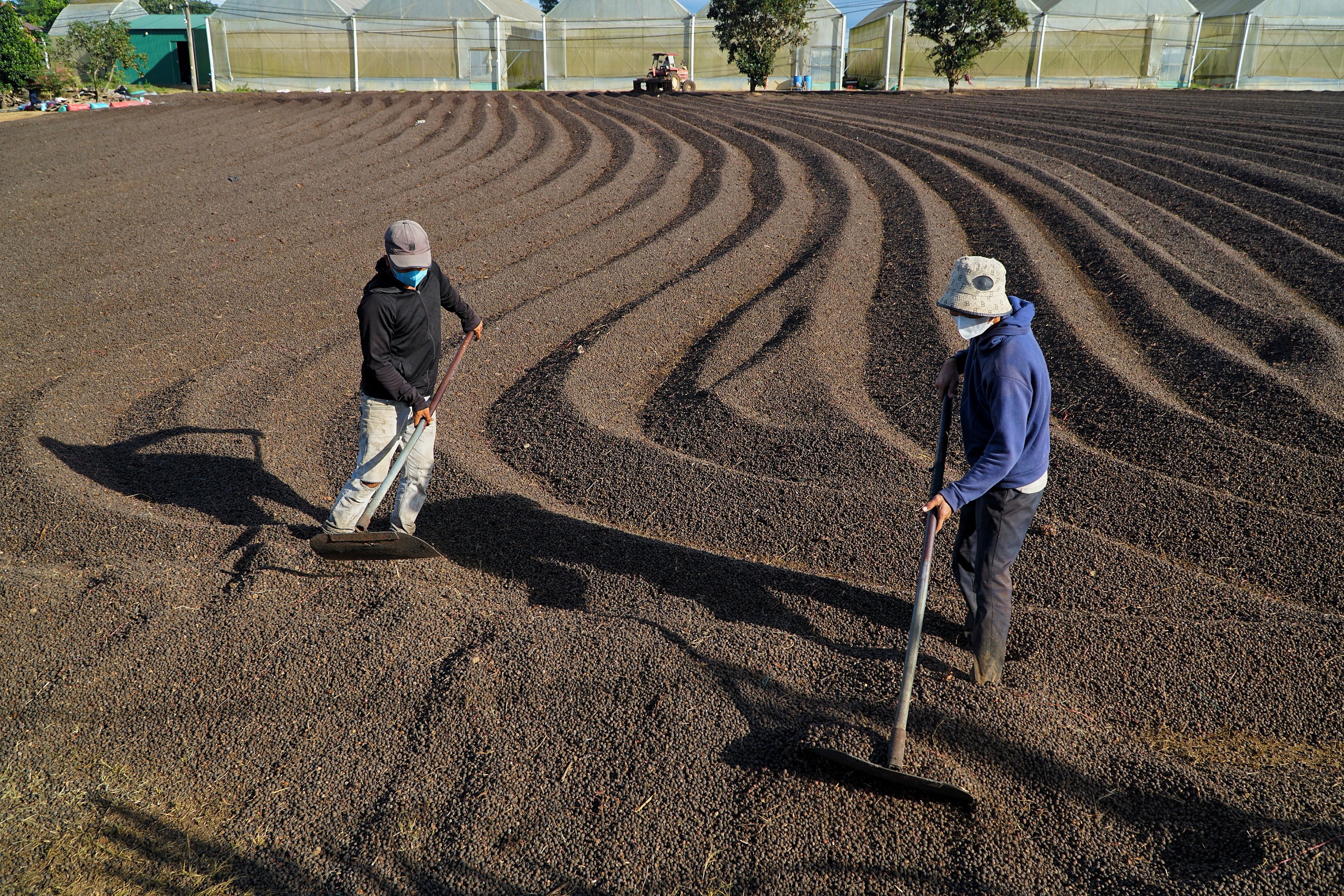 Uống quá nhiều cà phê mỗi ngày gây hại tim thế nào? - Ảnh 2.