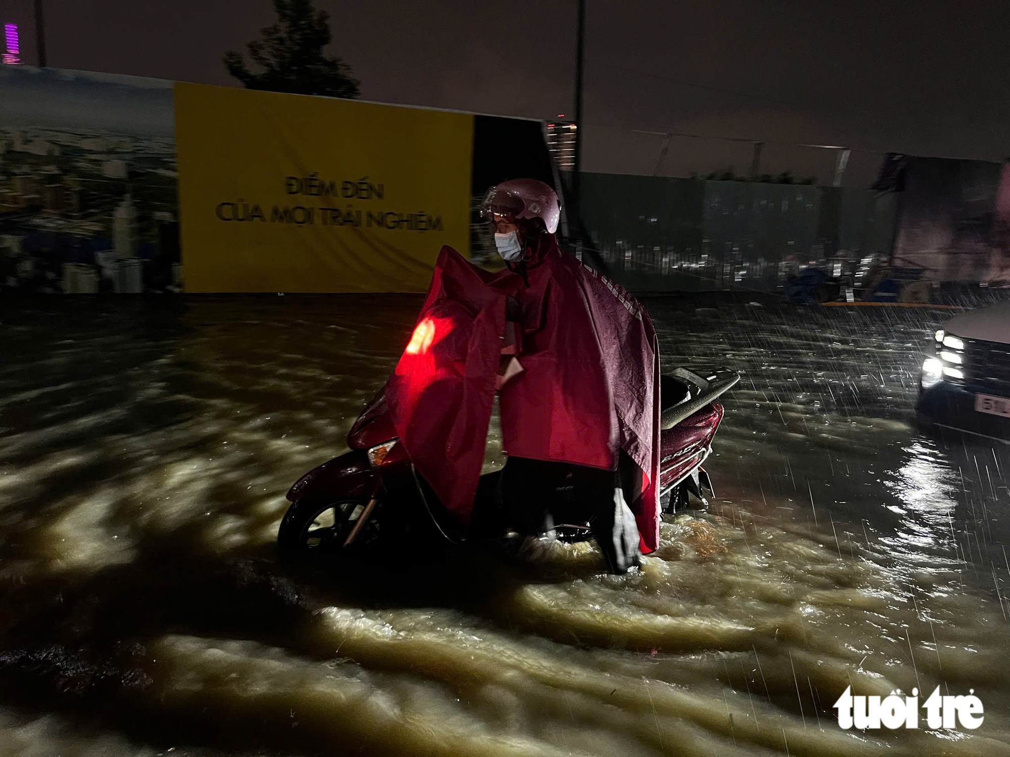 - Ảnh 12.