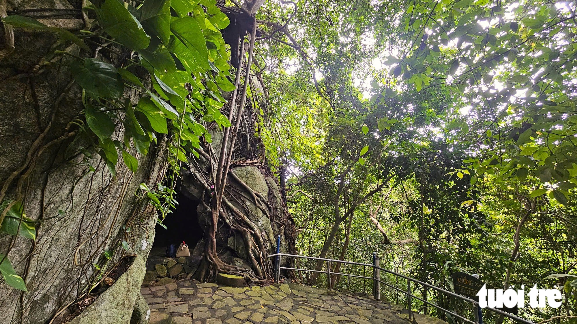 Ho Chi Minh City’s primeval forest offers a trek among bizarre vines - Ảnh 13.