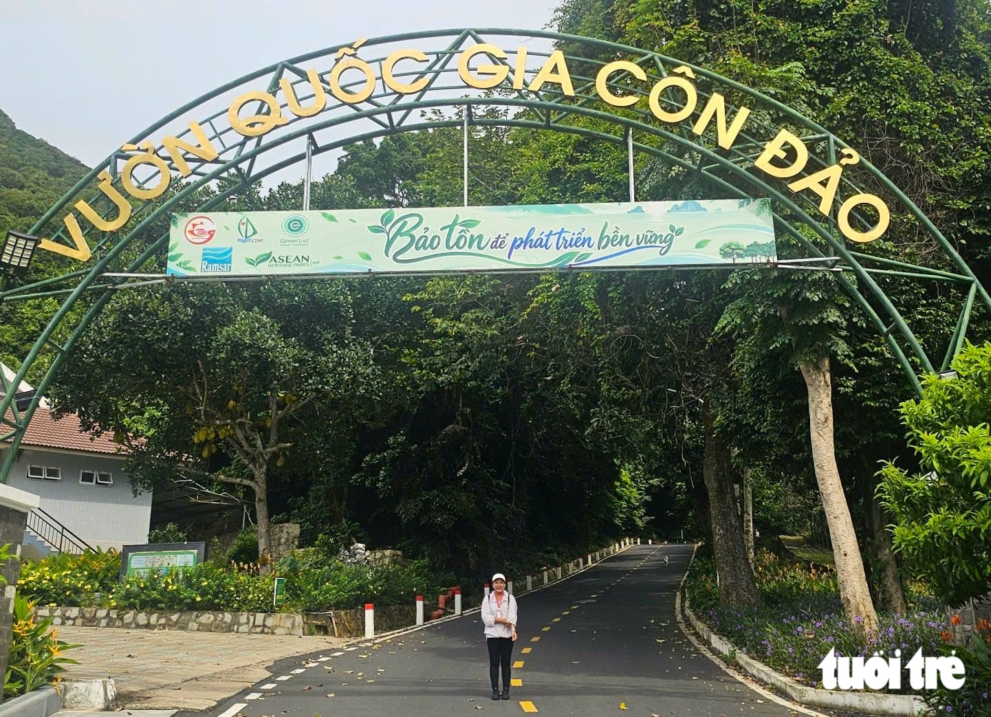 Ho Chi Minh City’s primeval forest offers a trek among bizarre vines - Ảnh 2.