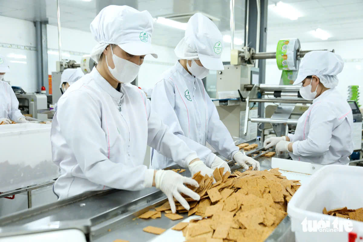 Muốn doanh nghiệp lớn lên, phải giảm nỗi lo thủ tục - Ảnh 3.