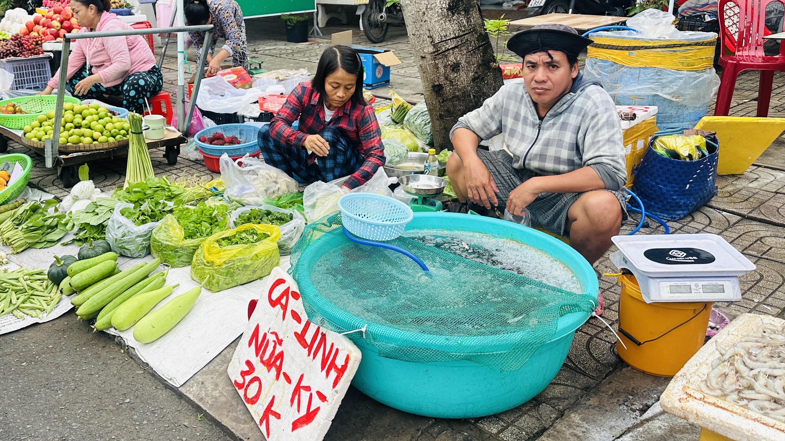 Giá cả đầu ngày: Giá cá tra nguyên liệu giảm nhẹ - Ảnh 2.