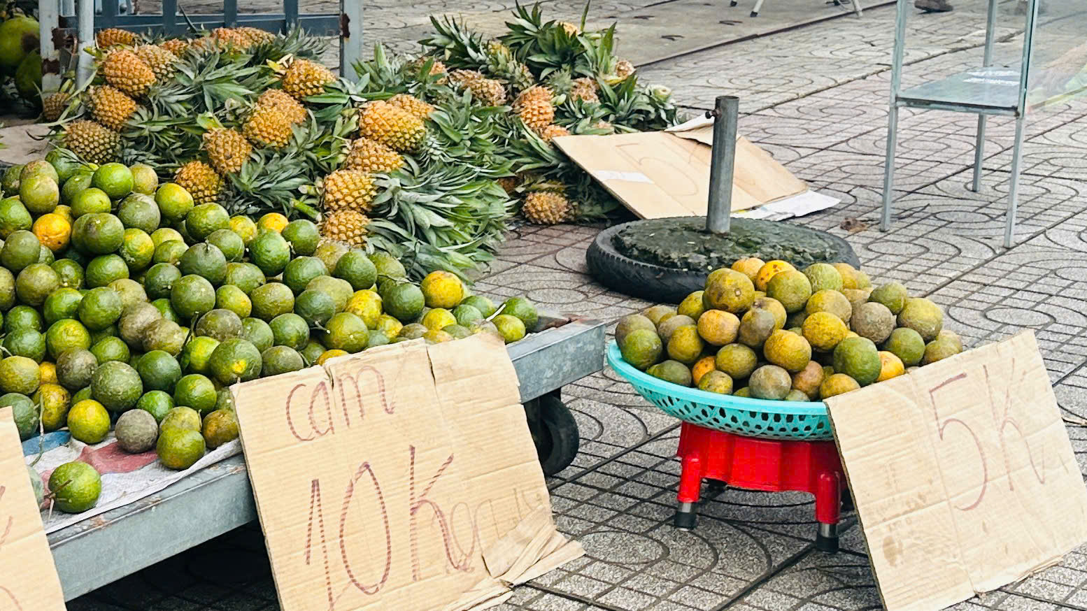 Giá cả đầu ngày: Nấm tràm cuối mùa từ 75.000 đồng/kg, nho thân gỗ giảm còn 800.000 đồng/cây - Ảnh 2.