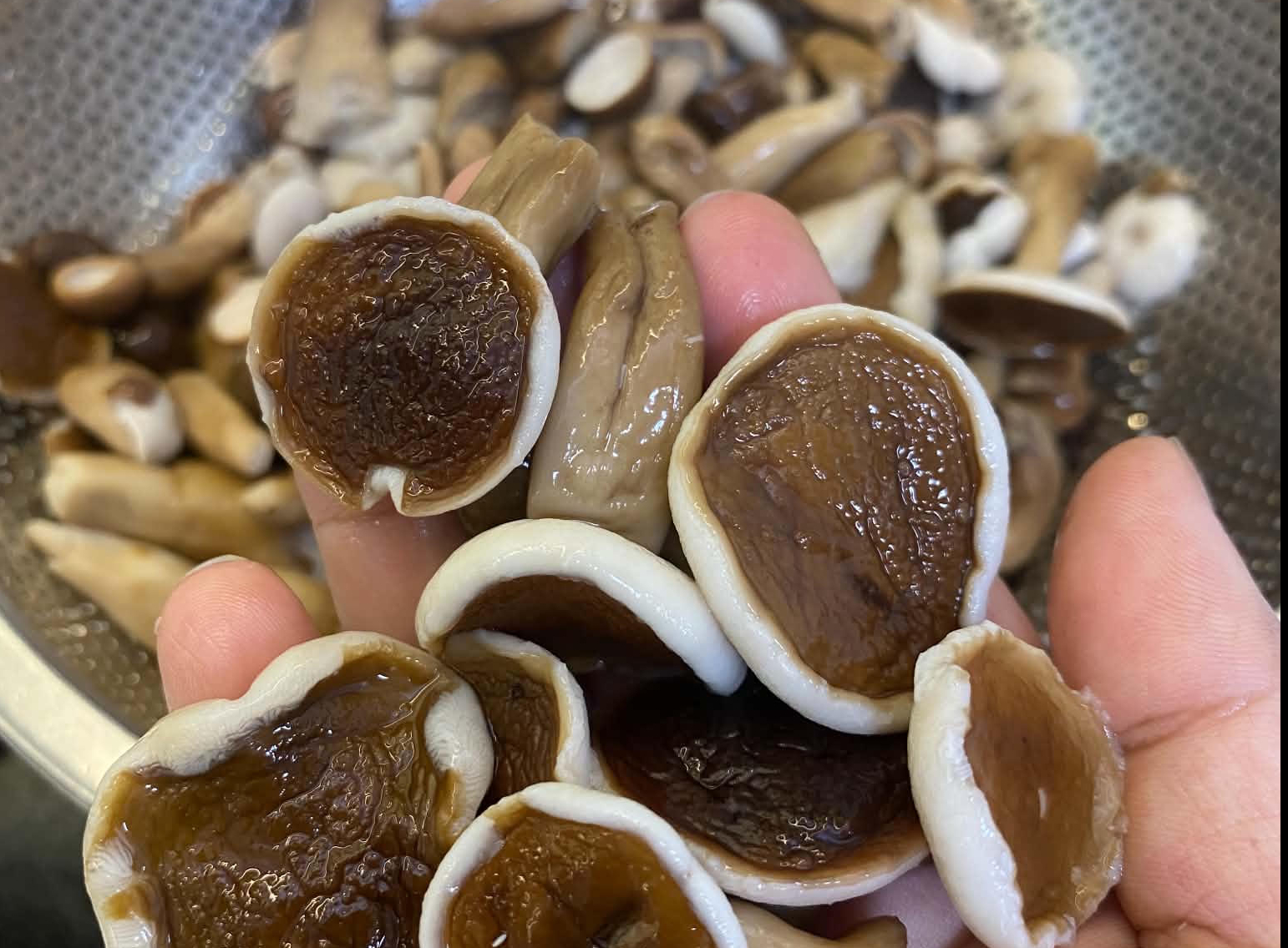 Giá cả đầu ngày: Nấm tràm cuối mùa từ 75.000 đồng/kg, nho thân gỗ giảm còn 800.000 đồng/cây - Ảnh 1.