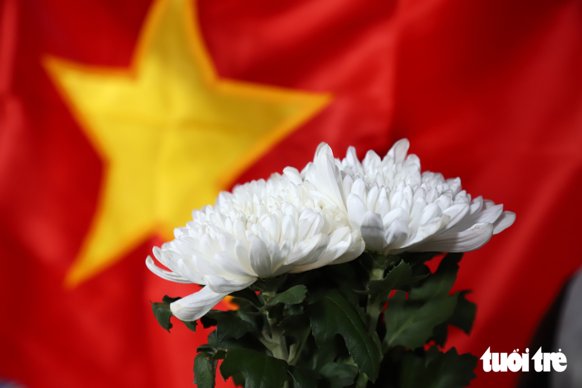 Người từ Bắc vào Nam, người là cựu chiến binh… đồng lòng hướng về Công viên Lê Thị Riêng - Ảnh 6.