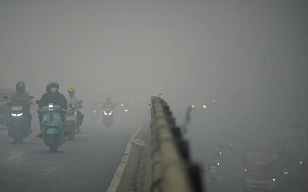 Indonesian rescue center takes in more orangutans as fires rage- Ảnh 6.