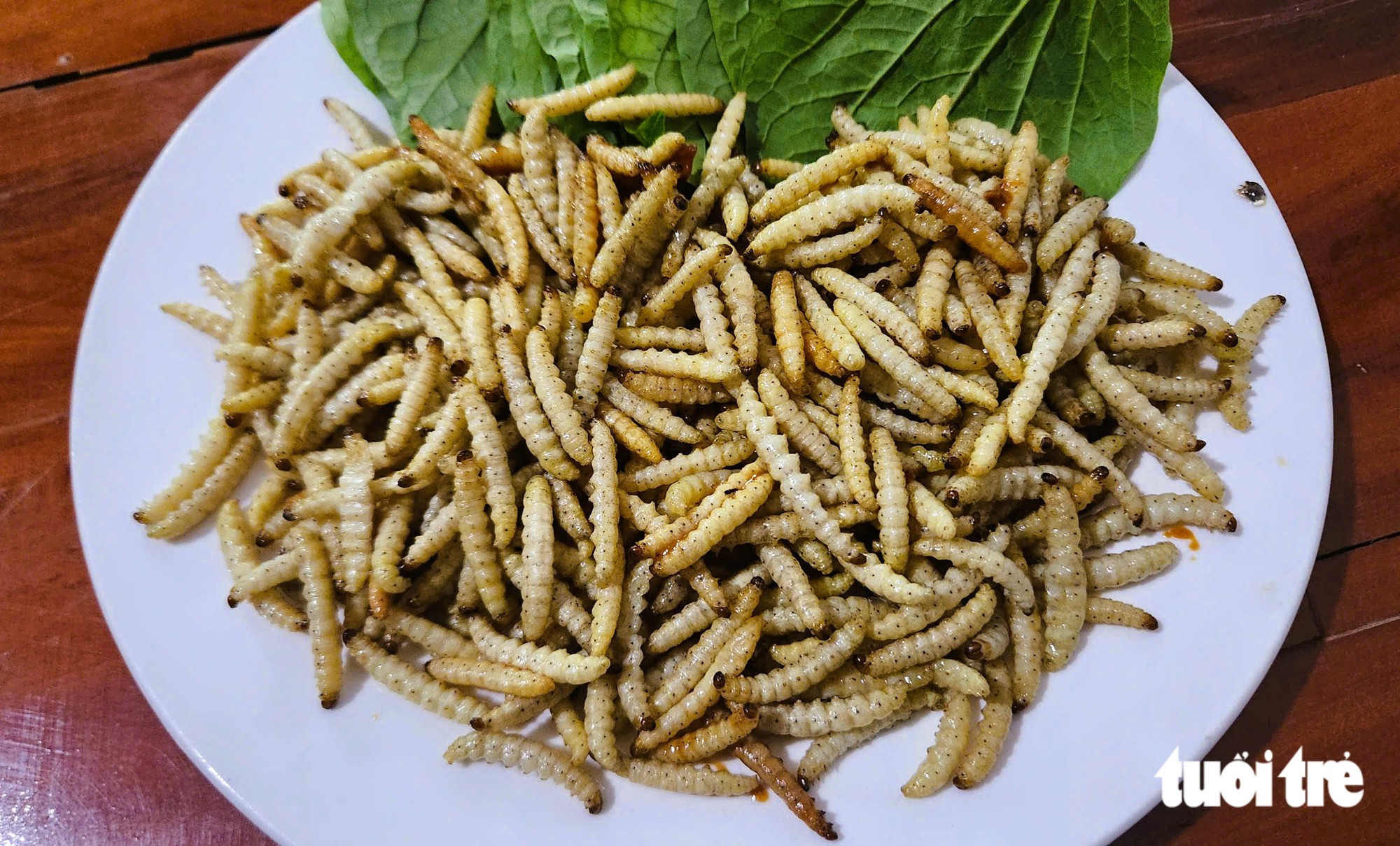 Đi săn sâu măng, món ăn độc đáo giá 250-300 ngàn/kg nhưng không dễ mua - Ảnh 1.