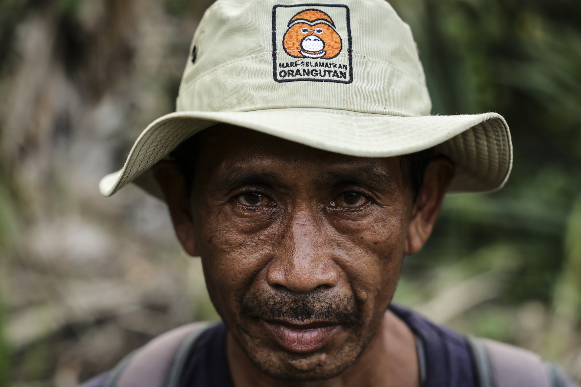 Indonesian rescue center takes in more orangutans as fires rage- Ảnh 15.