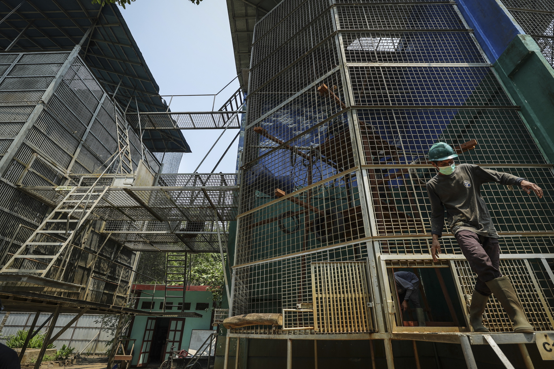 Indonesian rescue center takes in more orangutans as fires rage- Ảnh 7.