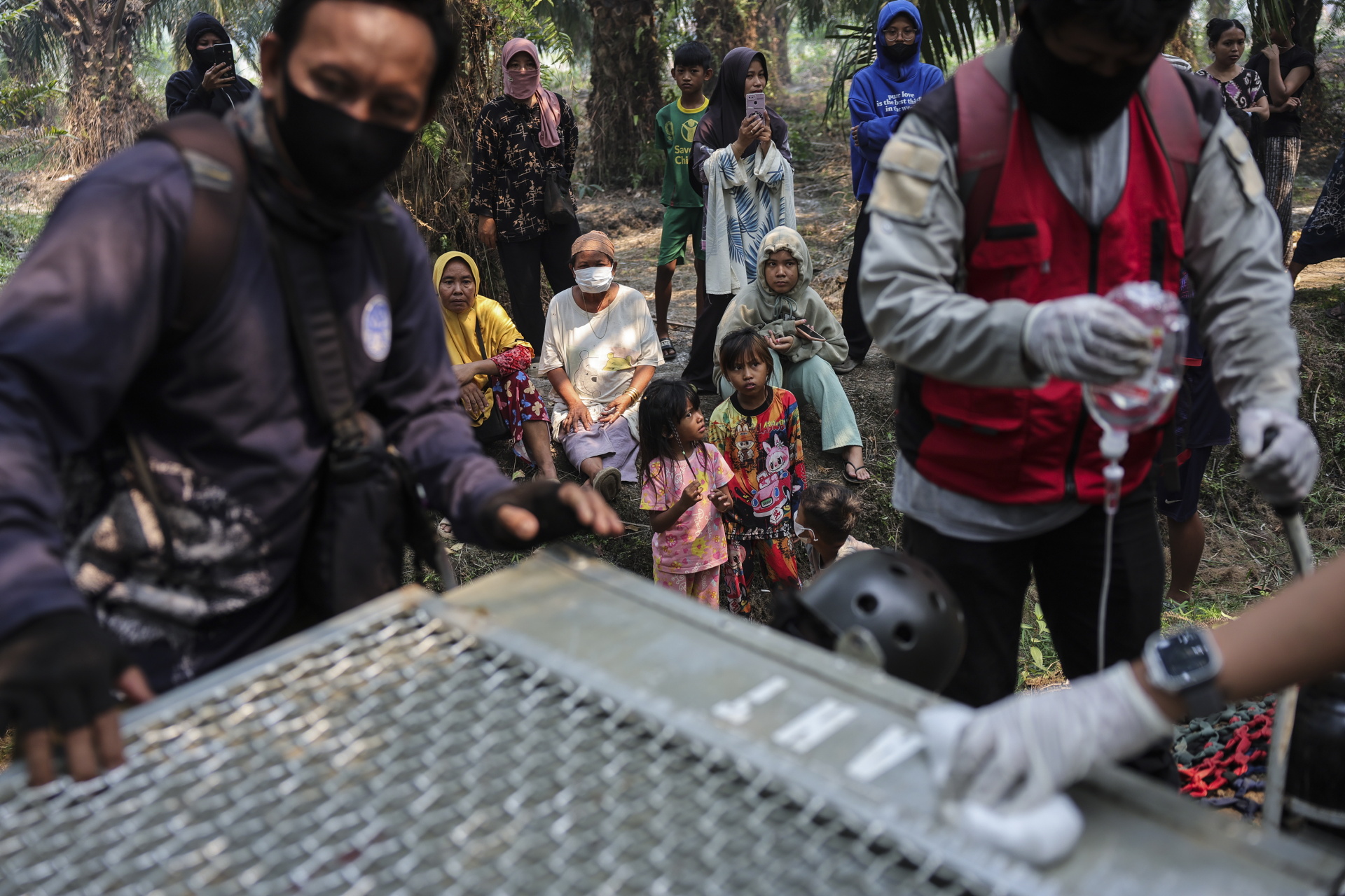 Indonesian rescue center takes in more orangutans as fires rage- Ảnh 10.