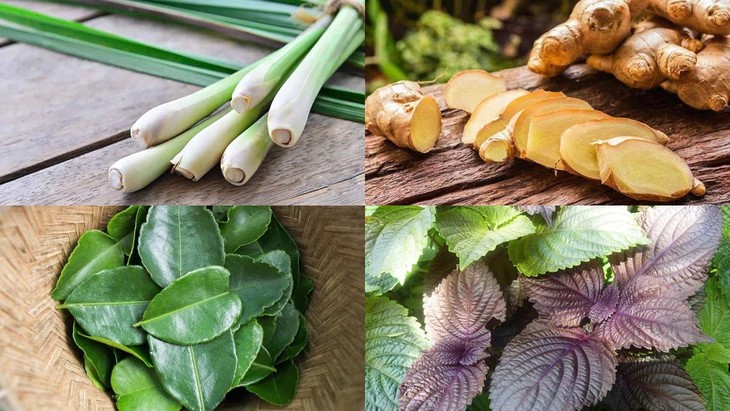 Nắng mưa thất thường, cúm gia tăng, có nên ăn cháo tía tô dùng giải cảm? - Ảnh 1.