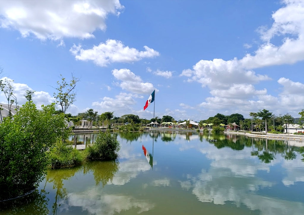 Phát hiện amip ăn não trong 6 hồ nhân tạo, Mexico cấm người dân xuống nước - Ảnh 1.