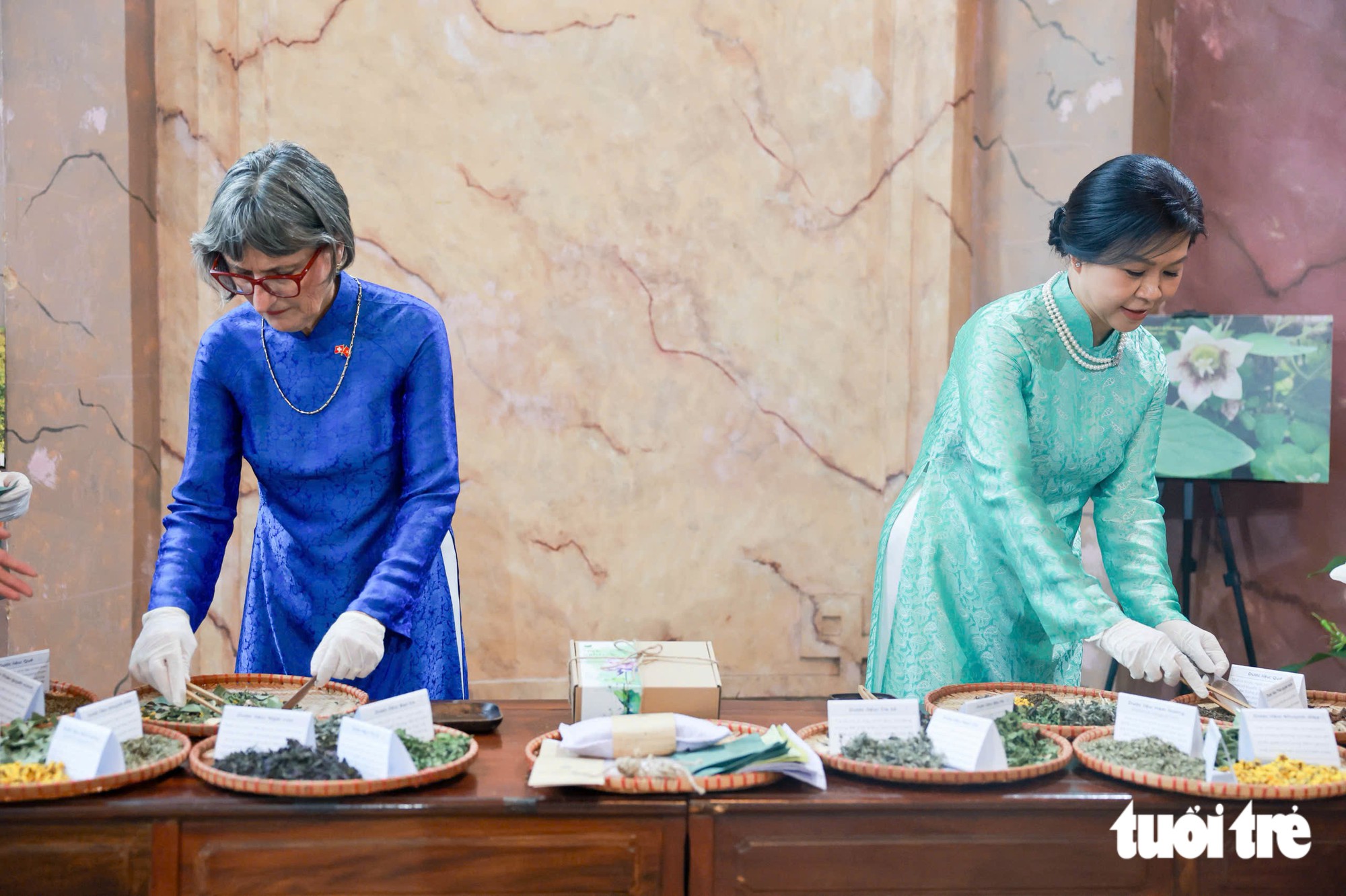 From Vietnam's mountains to Swiss Alps: How medicinal herbs bridge two nations- Ảnh 16.