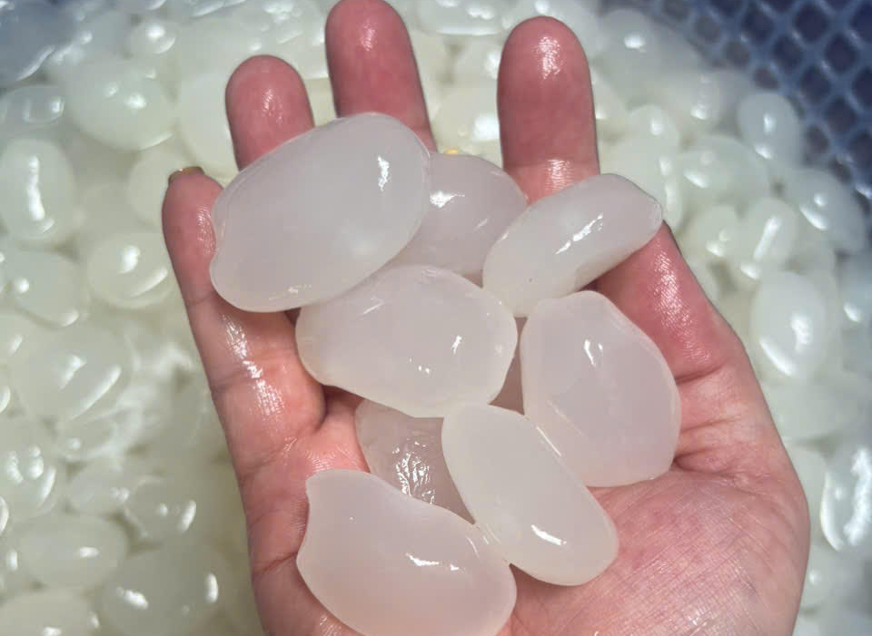 Giá cả đầu ngày: Hoa hồng tăng gấp đôi trước ngày 20-10, thanh long miền Tây phục hồi sau thời gian chạm đáy, giá dê hơi cũng đi lên - Ảnh 1.