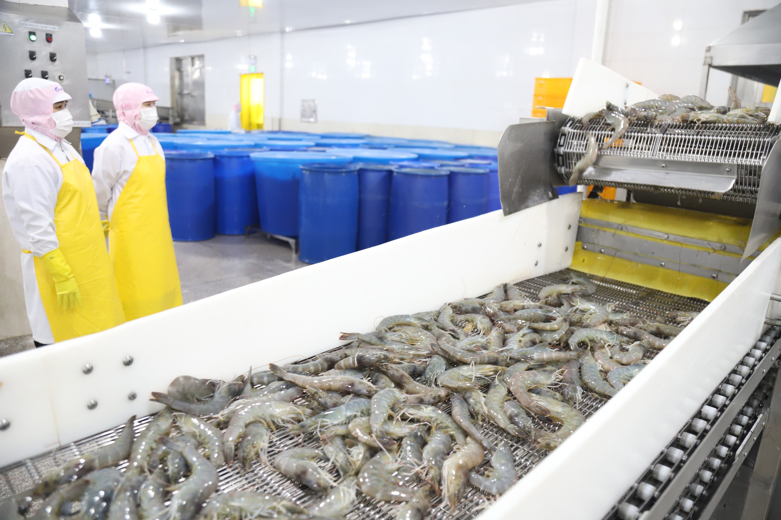 Làm cách gì để kéo lao động ly hương quay về làm việc ở miền Tây?  - Ảnh 3.